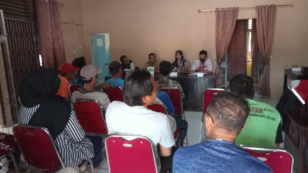 Pelatihan Ternak Sapi