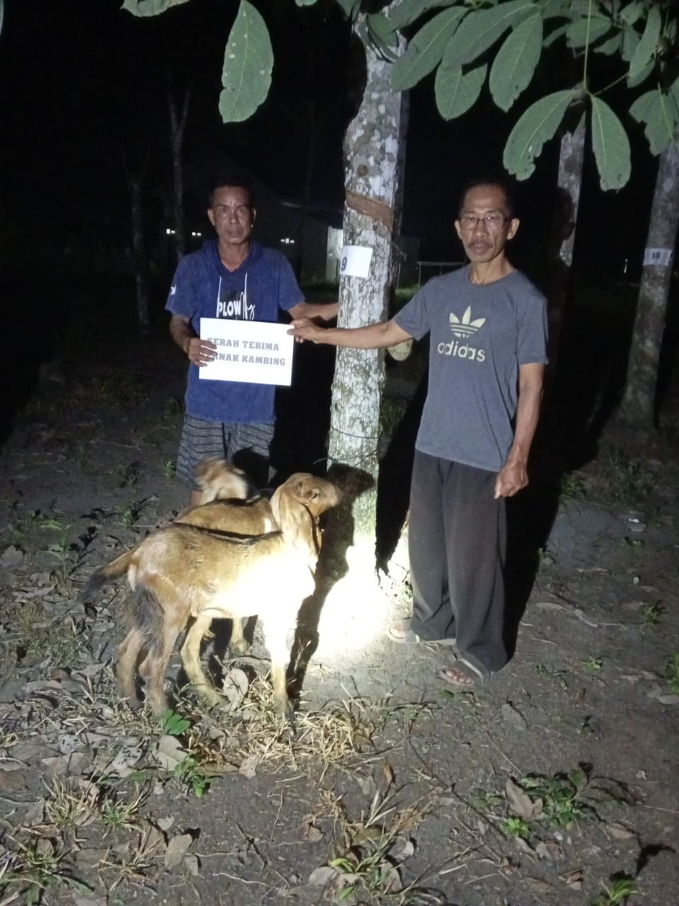 Serah Terima Bantuan Ternak Kambing